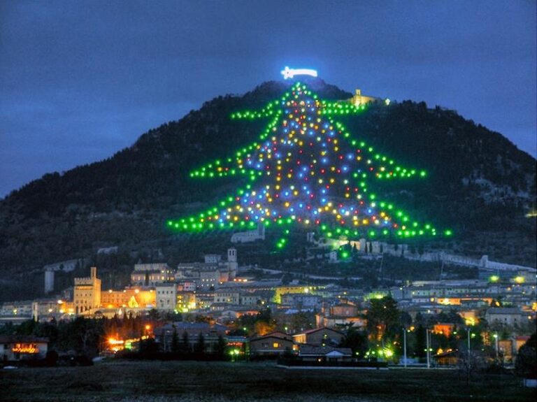 albero-di-Gubbio